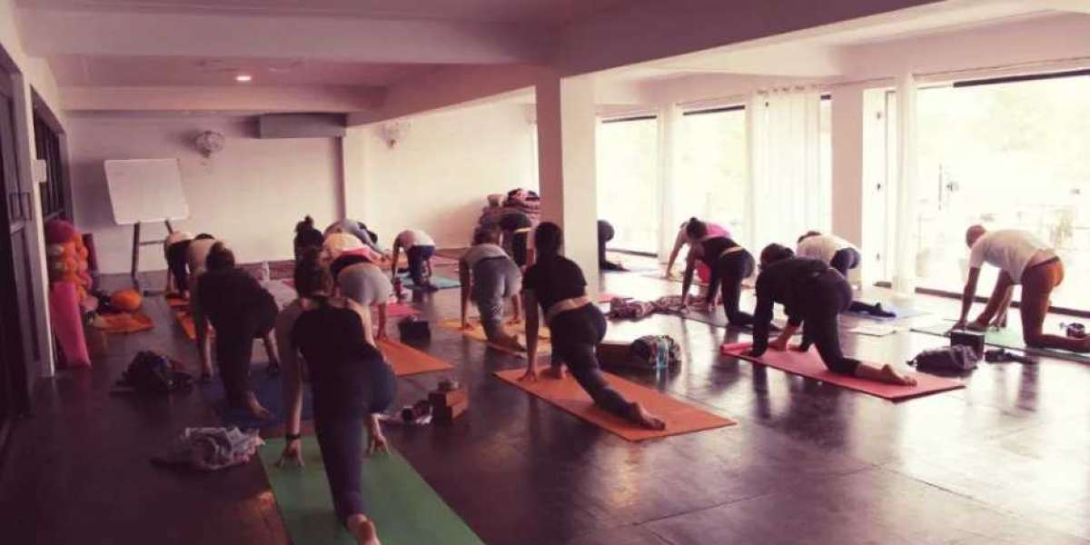 Best yoga school in India